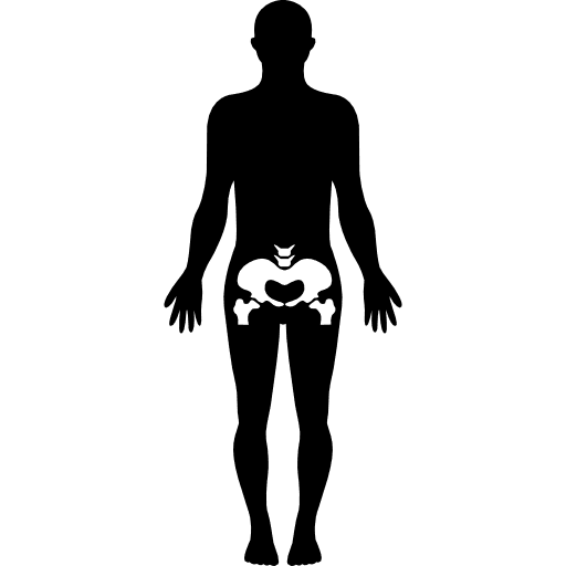Hips human body part standing human body bone icon
