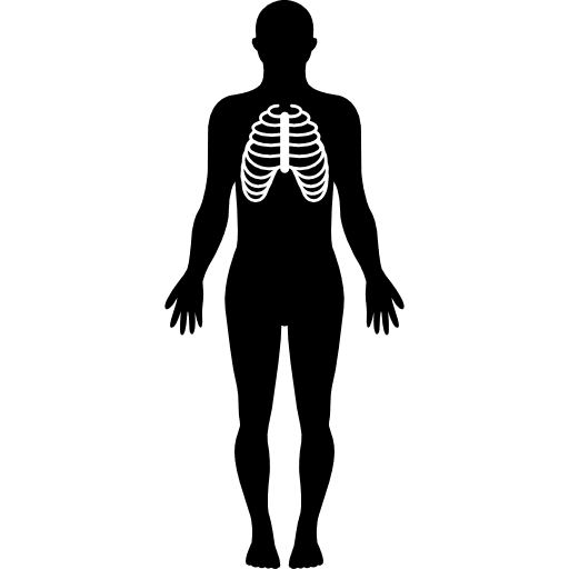 Human body silhouette with focus on respiratory system lungs lung human body icon