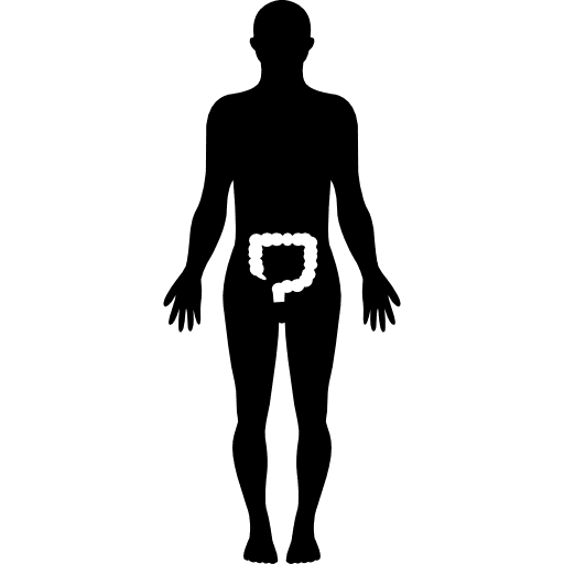 Human body silhouette with highlight on large intestines medical large intestines body organ icon