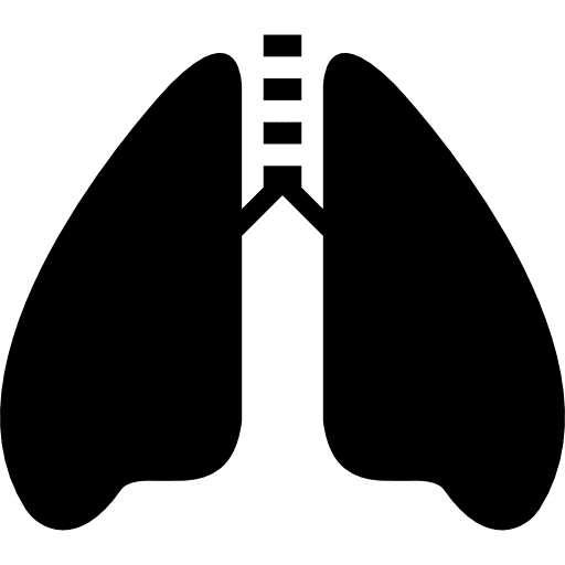 Lungs with the trachea medical trachea organs icon