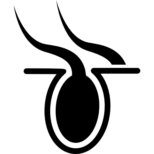 Hair follicle follicles hair follicle human body icon