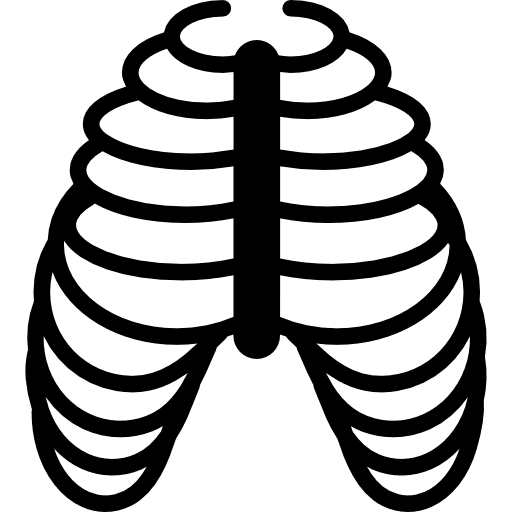 Human ribs bones human body rib internal organ icon