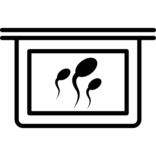 Image of sperm cells sperm image maps and flags sperm cells icon