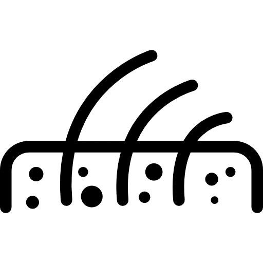 Skin layers with hair follicles skin layers hair integumentary system icon