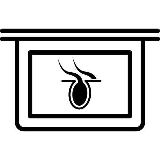 Body part x ray internal vision internal organ body part icon