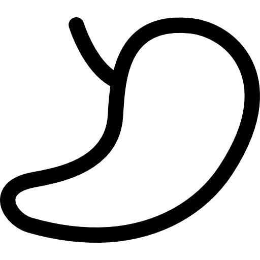 Kidney outline medical kidney outline body part icon