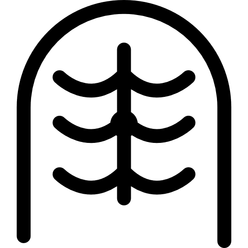 Couple of fingers body parts finger human body icon