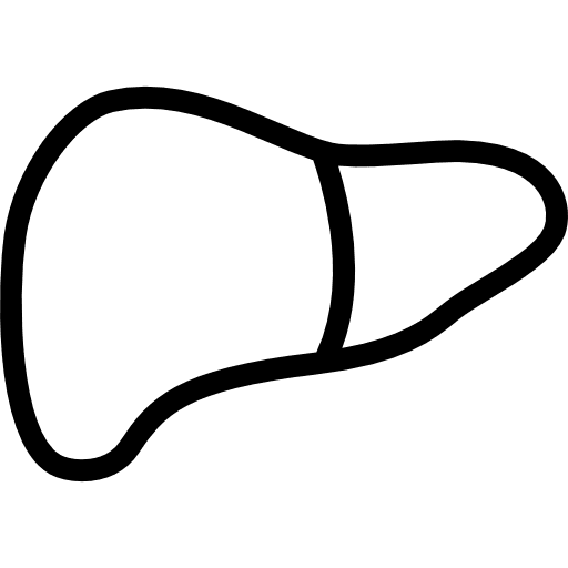Liver human body organs body parts icon