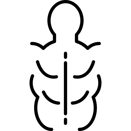 Man torso muscles man body parts human body icon