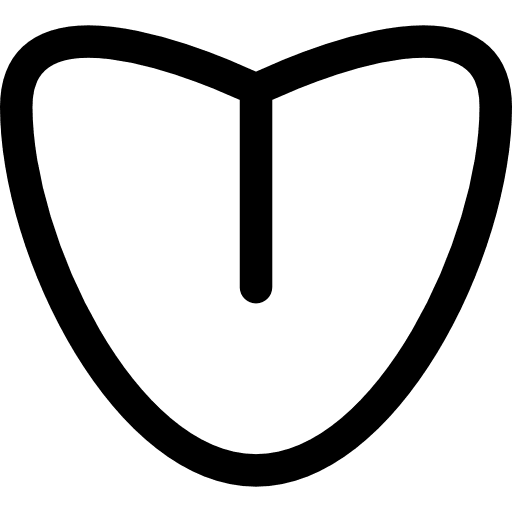 Body organ variant with line body organ organ body part icon