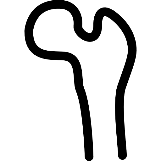 Bone structure tip bone tip bone bones icon