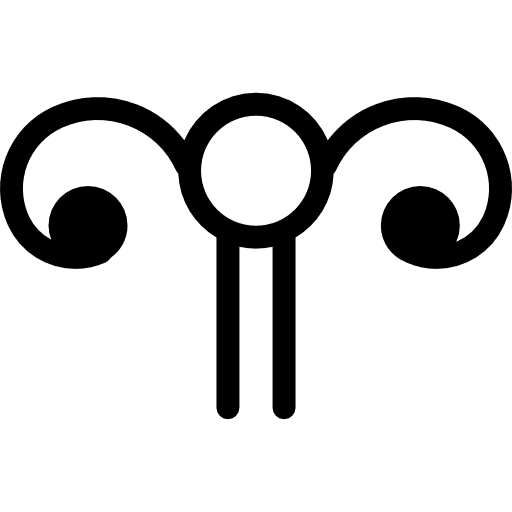 Female reproductive system representation ovaries fallopian tube ovary icon