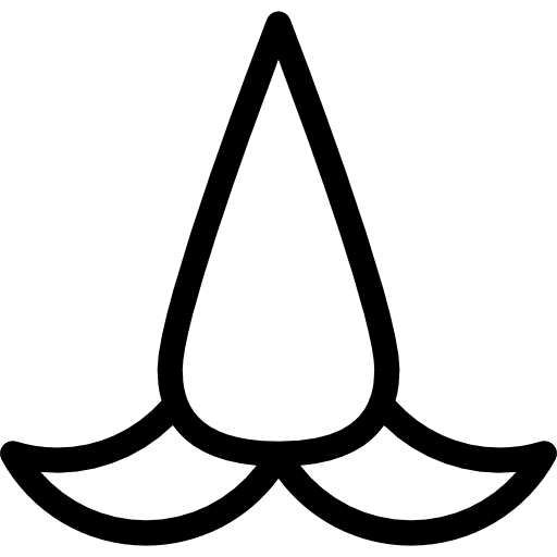 Nose pointed variant with mustache pointed mustache nose icon