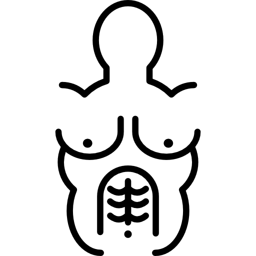 Upper body muscular view body torso muscular icon