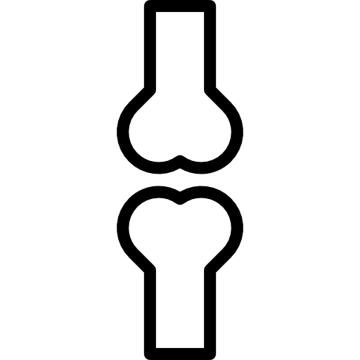 Bones leg bones femur icon Bones leg bones femur icon