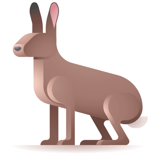 Hare animals zoo animal icon