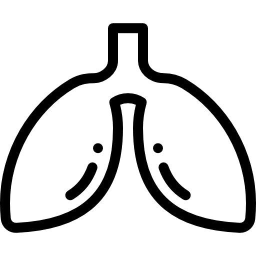 Liver medical organ healthcare and medical icon