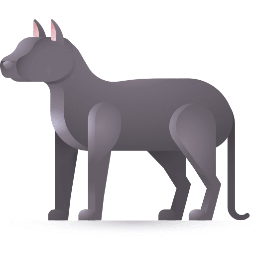 Cat wild life zoo cat icon Cat wild life zoo cat icon