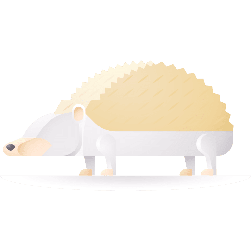 Hedgehog animal animal kingdom zoo icon Hedgehog animal animal kingdom zoo icon