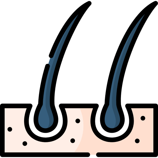 Hair dermatology dermis follicle icon Hair dermatology dermis follicle icon