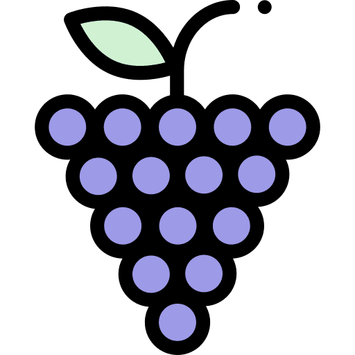 Grapes grape viburnum fruit bouquet icon