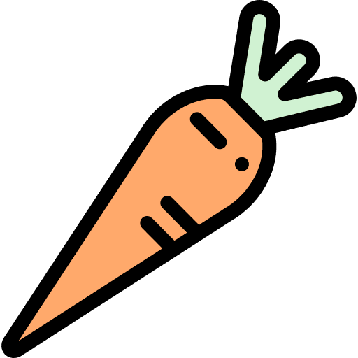 Carrot diet healthy food vegan icon