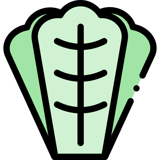 Lettuce vegetable vegan salad icon