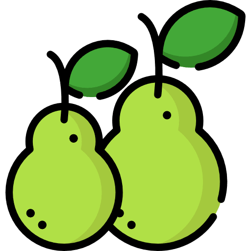 Pear pear diet healthy food icon