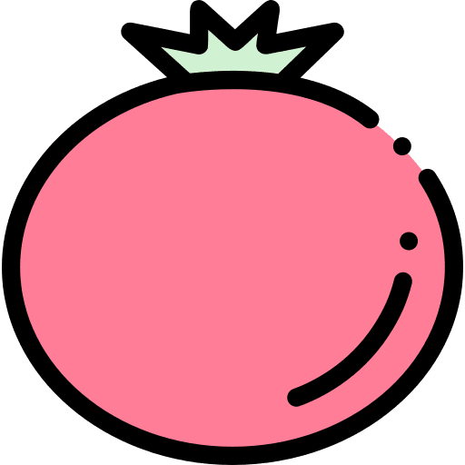 Tomato vegan vegetarian fruit icon