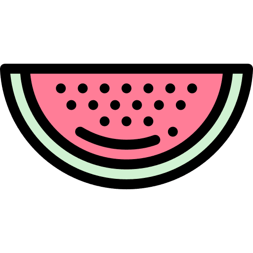 Watermelon vegan food healthy food icon