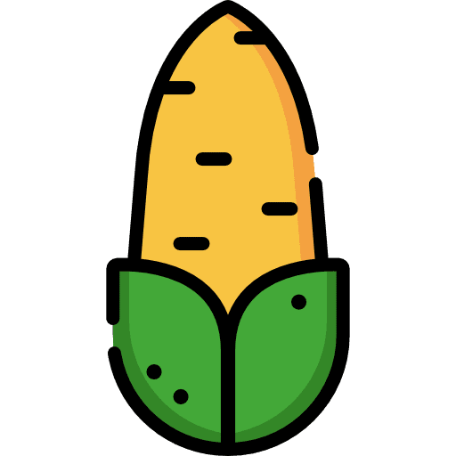 Corn organic corn healthy food icon