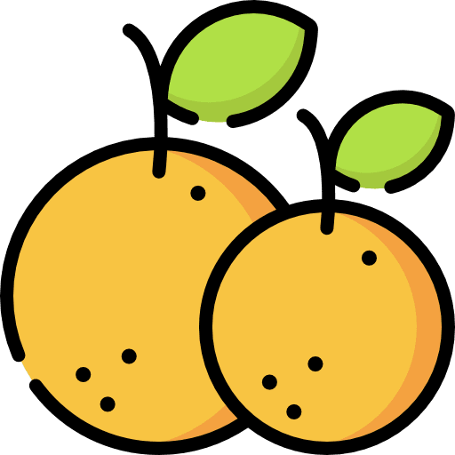 Orange food and restaurant vegetarian vegan icon