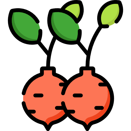 Radish vegetable vegetarian vegan icon