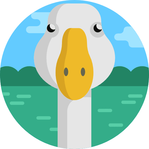 Goose goose zoo wildlife icon