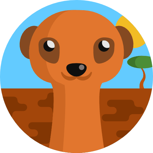 Meerkat wild life zoo mammal icon