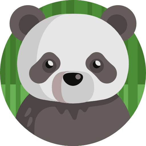 Panda panda china chinese icon