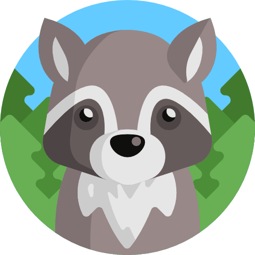 Raccoon america raccoon wildlife icon