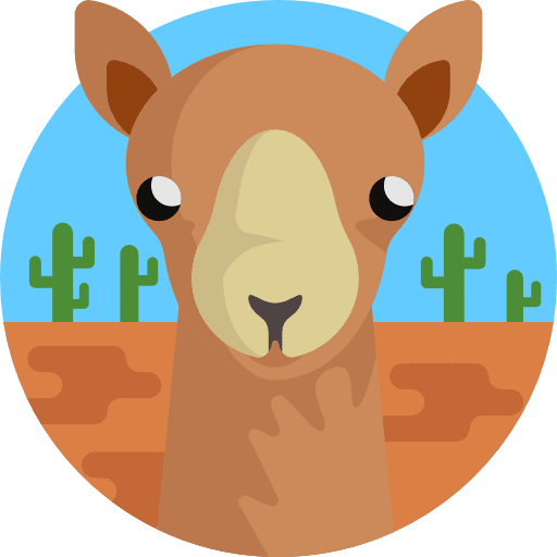 Camel camel wildlife mammal icon
