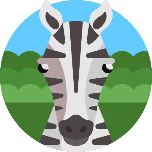 Zebra zoo wildlife animals icon