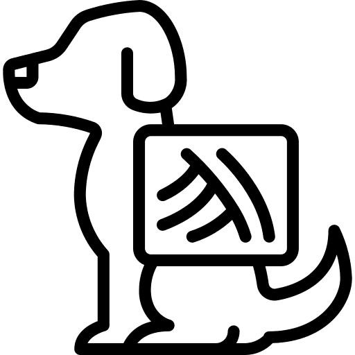 Dog x ray dog animals icon