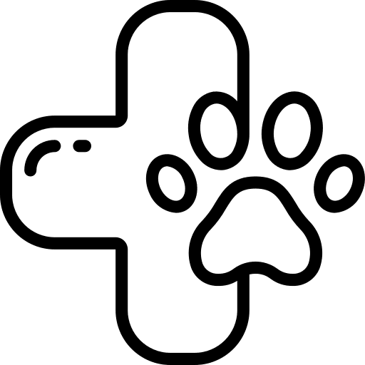 Vet vet healthcare cross icon
