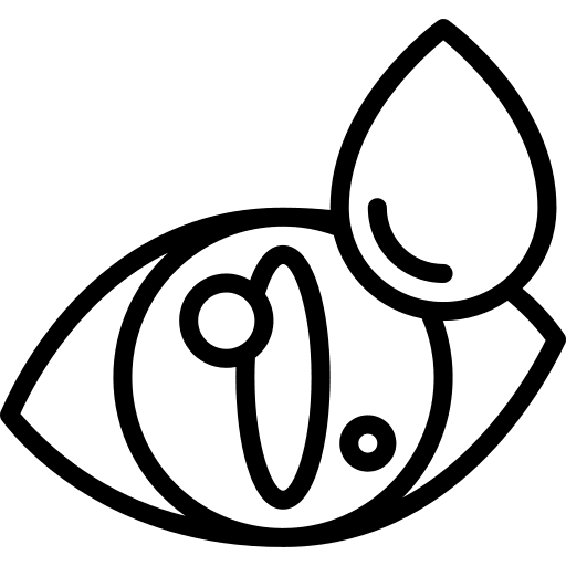 Eye vet pets eye icon