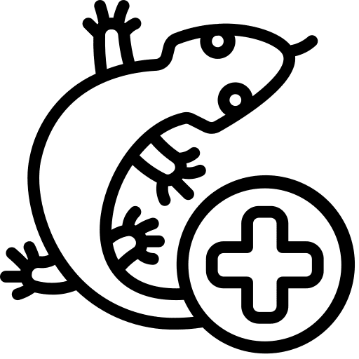 Reptile pets lizard health icon
