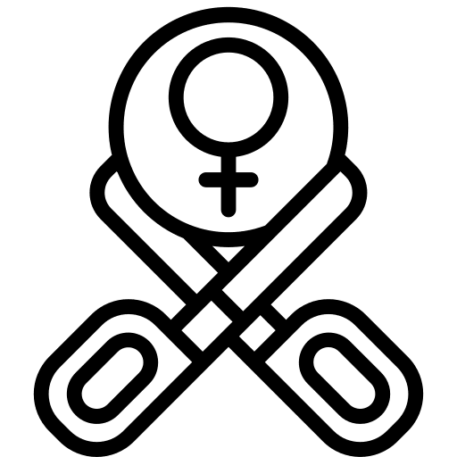 Spay animals female pets icon