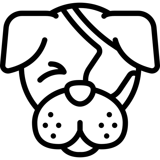 Dog eyepatch pets animals icon