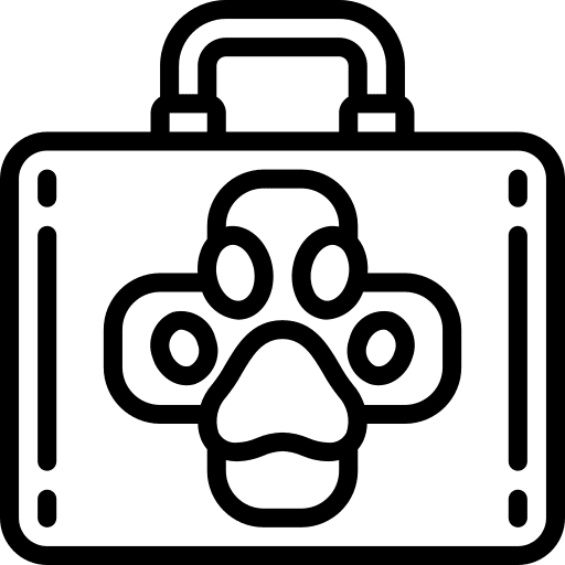 First aid animals pets health icon