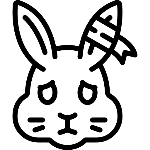 Rabbit health injury care icon