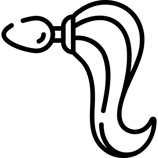 Anal butt erotic penetration icon