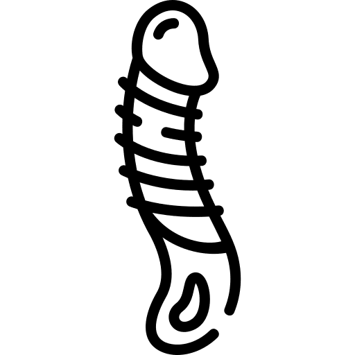 Dildo male cock miscellaneous icon