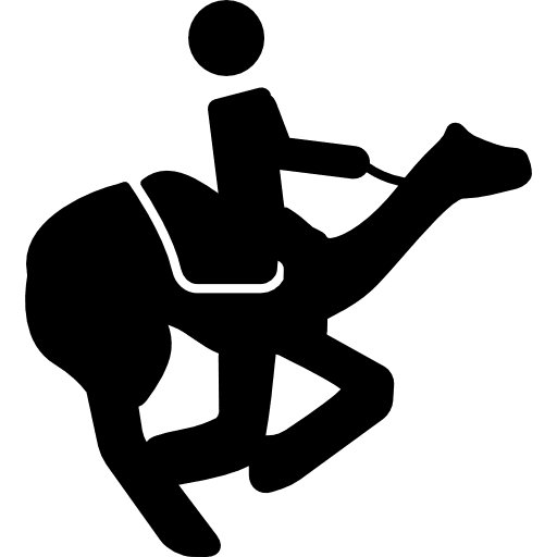Camels race animal silhouette animals icon